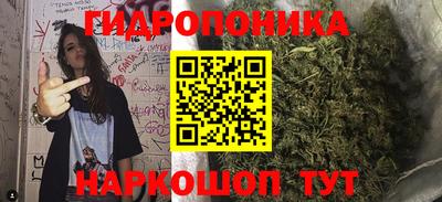 mdpv Лесосибирск