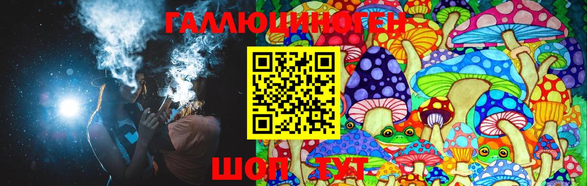 Гай  Псилоцибиновые грибы MAGIC MUSHROOMS  Вход с VPN 