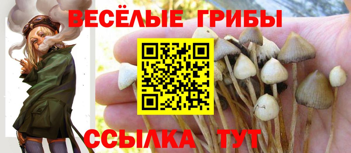 Псилоцибиновые грибы Cubensis Гай