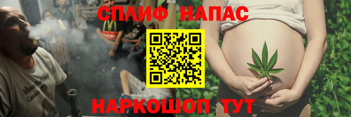 Марихуана конопля Гай
